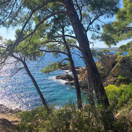 Evasion Nature A Cap Esterel Jardin, Mer & Golf Tout Confort Saint-Raphaël Exterior foto