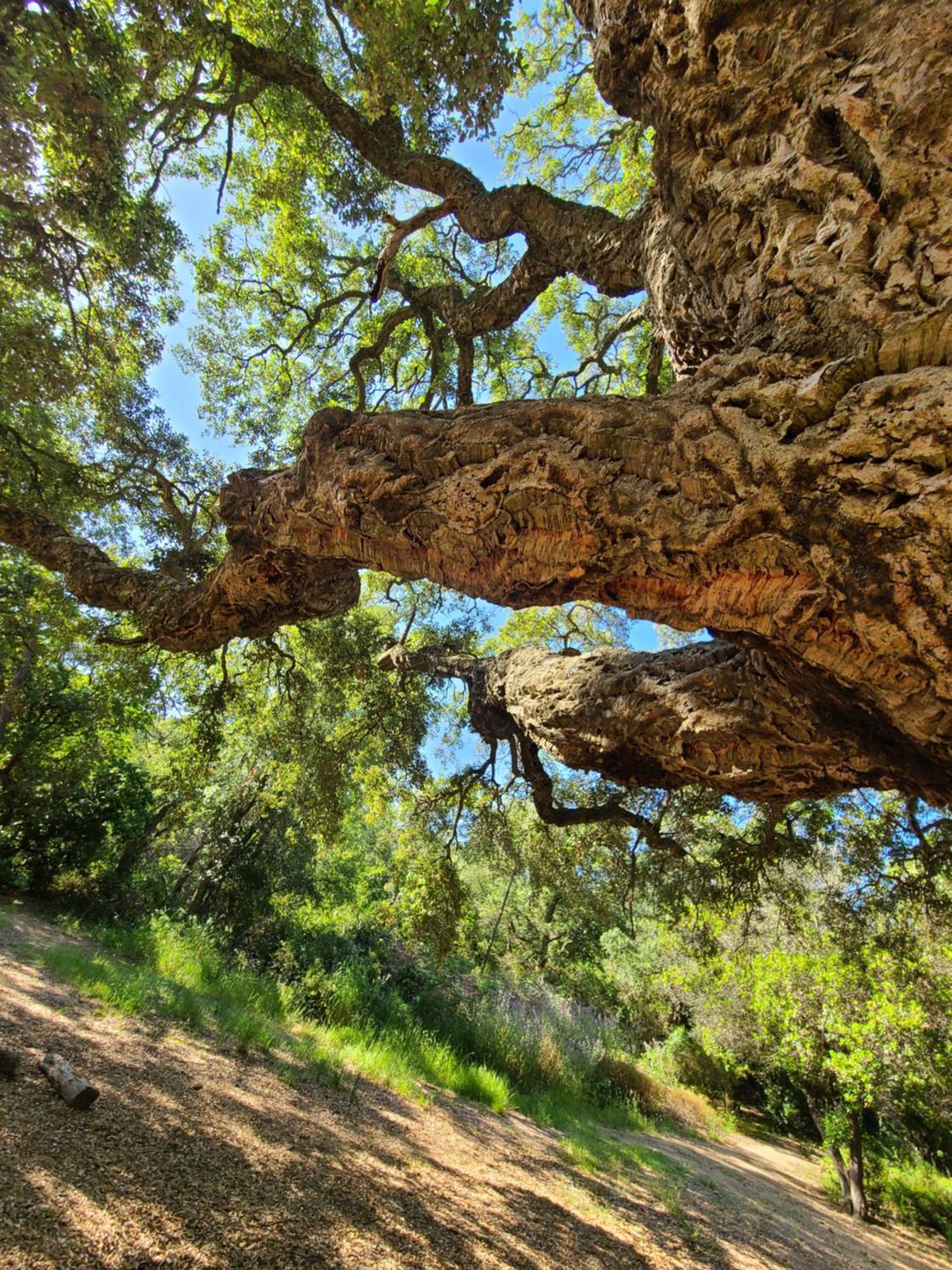 Evasion Nature A Cap Esterel Jardin, Mer & Golf Tout Confort Saint-Raphaël Exterior foto