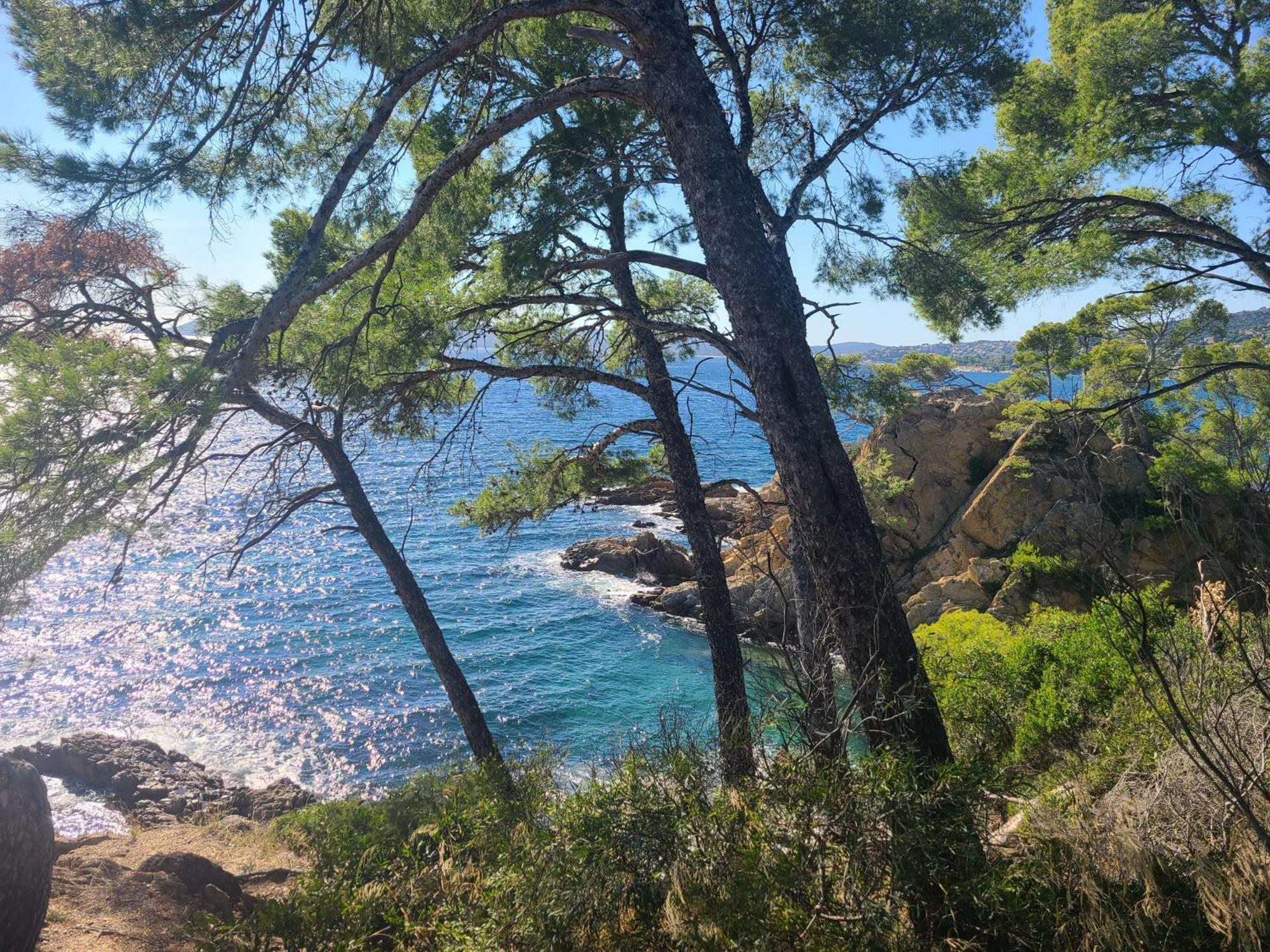 Evasion Nature A Cap Esterel Jardin, Mer & Golf Tout Confort Saint-Raphaël Exterior foto